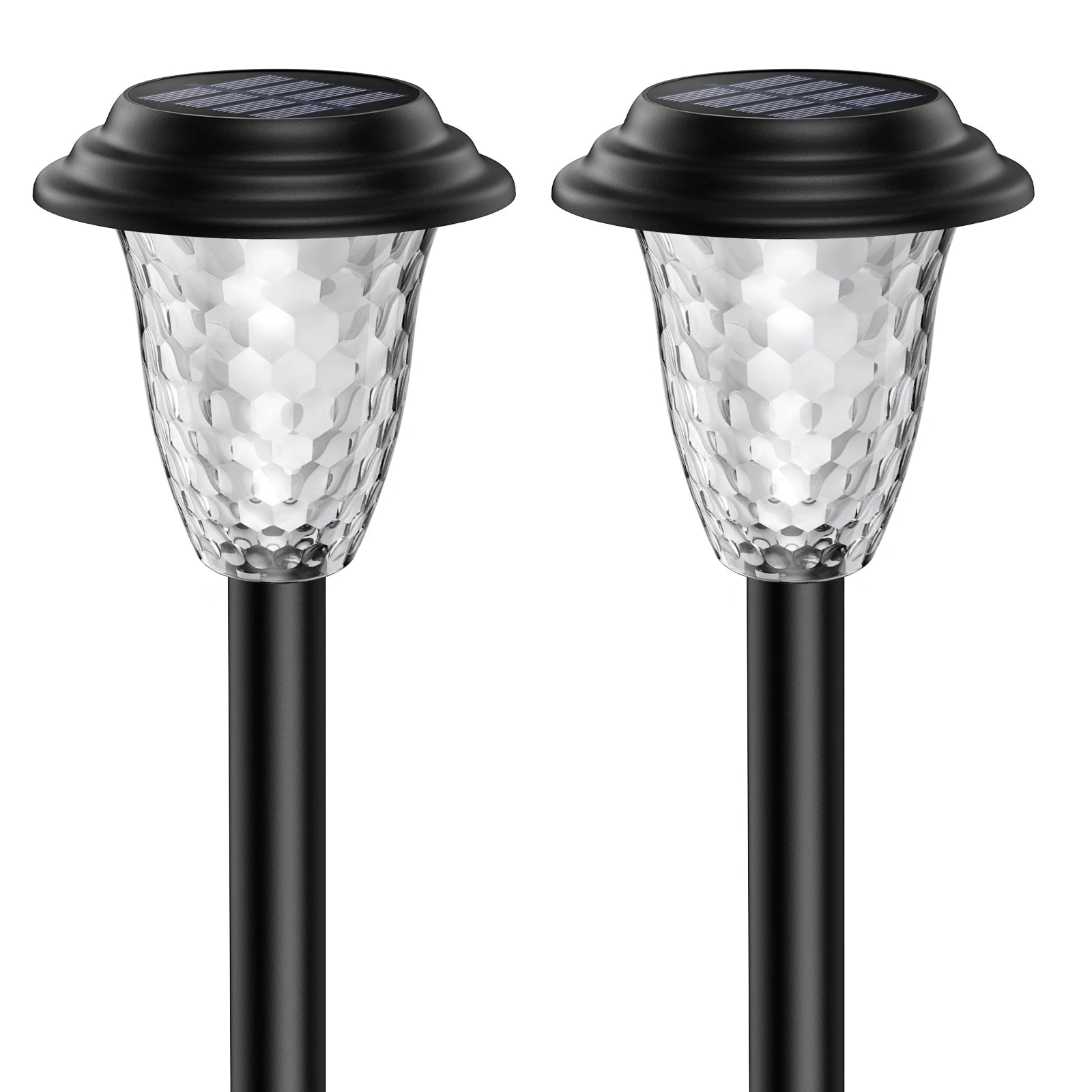 Solar Pathway Lights.