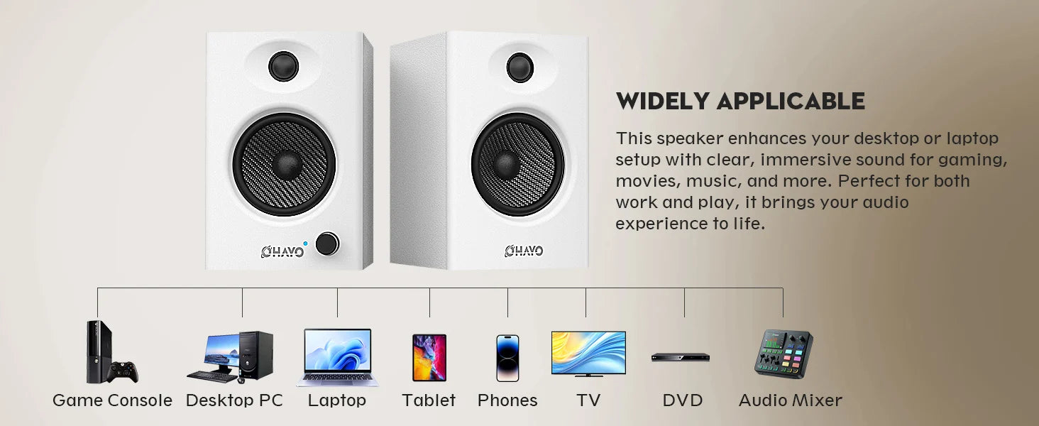 Computer Speakers for Gaming and Music.