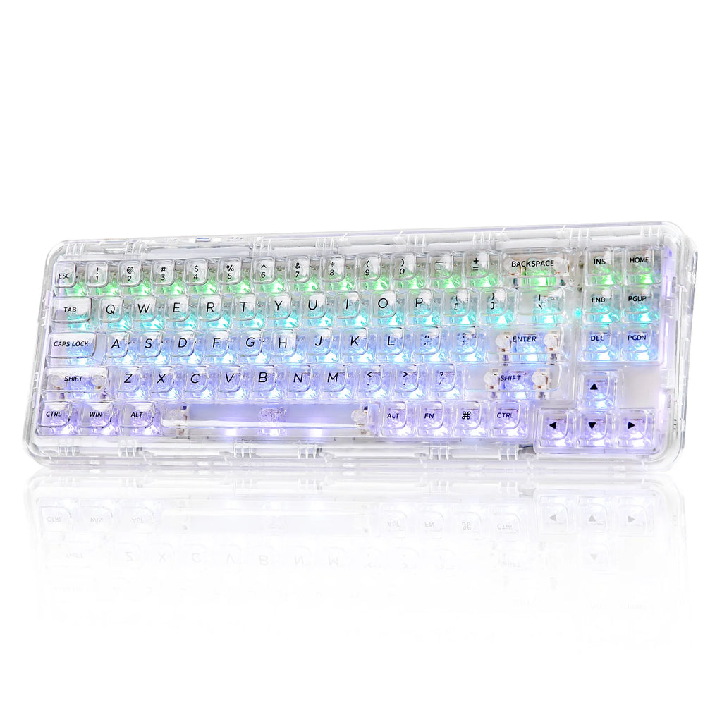 Wireless BT/2.4G/USB-C Gasket Hot-Swap Transparent RGB Mechanical Gaming Keyboard with Clear Keycaps