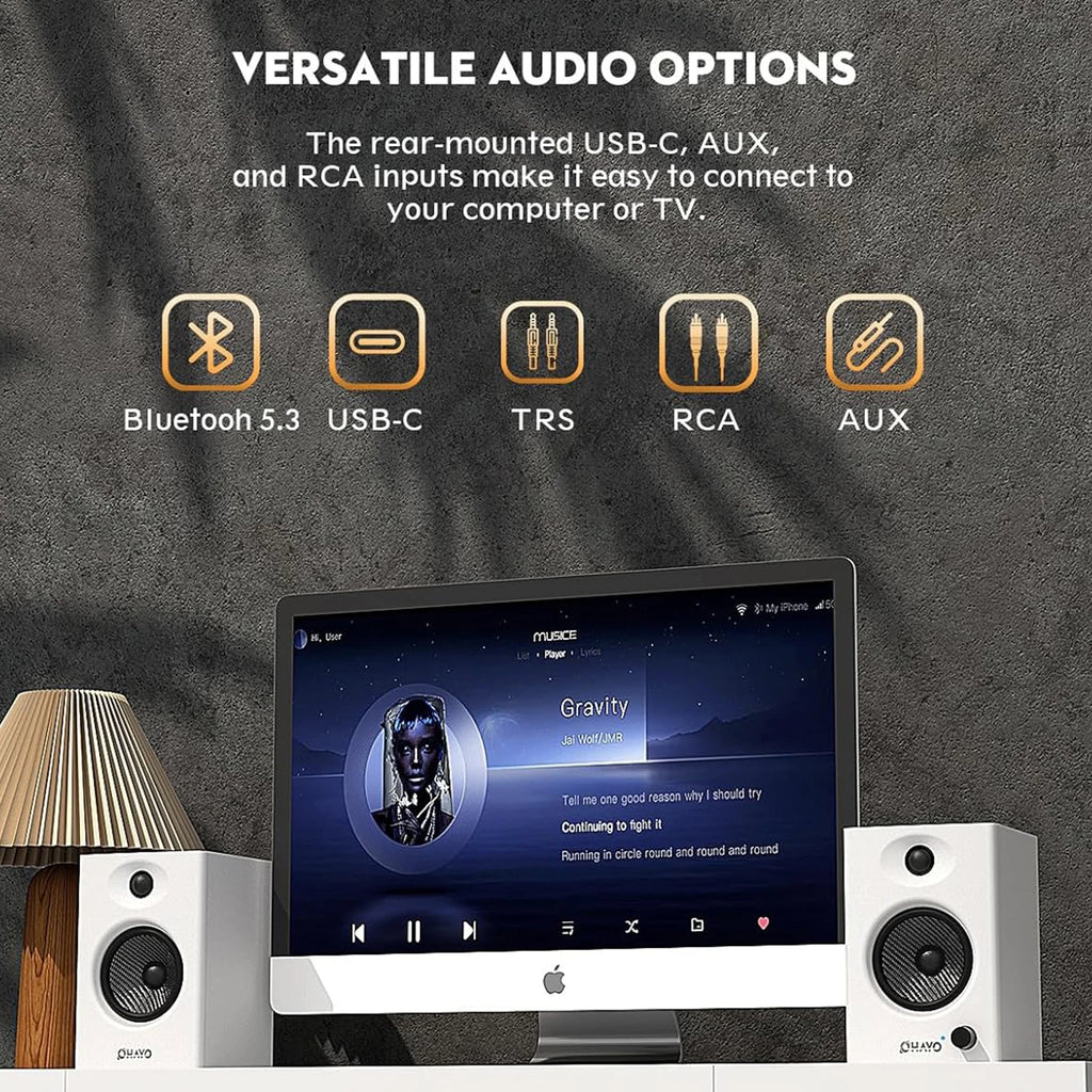 Computer Speakers for Gaming and Music.