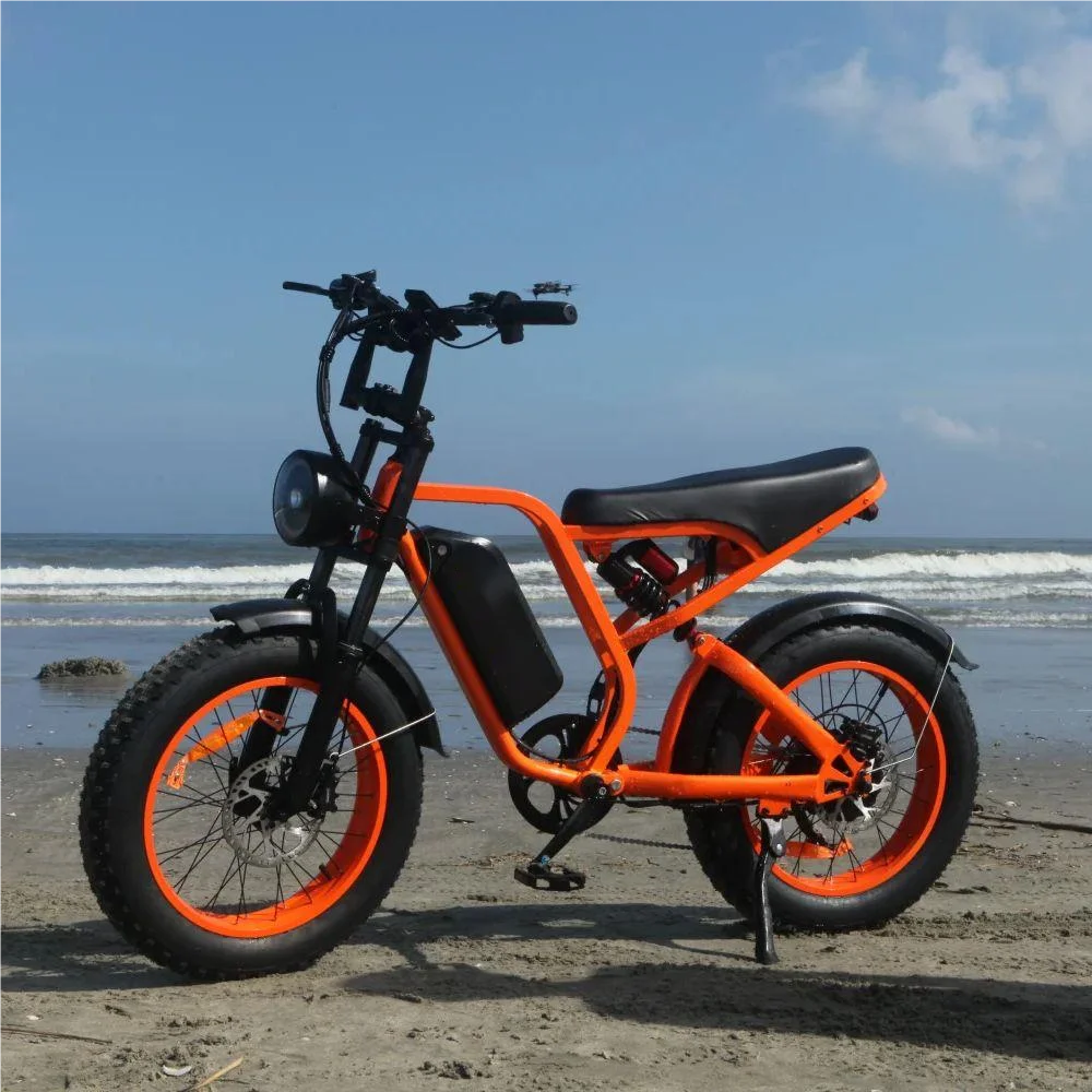US Stock! 20'' Electric Bike 1500W Motor 52V 20AH 80 Miles 32MPH IP65 Waterproof.